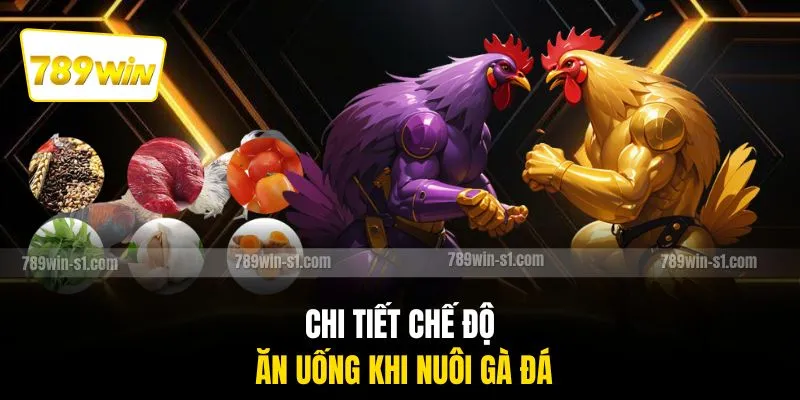 Chi tiết chế độ ăn uống khi nuôi gà đá