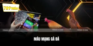 Màu mạng gà đá